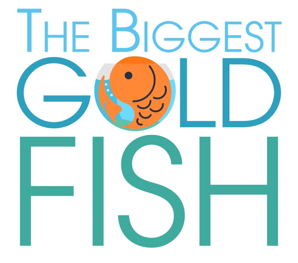 The Biggest Goldfish - Rural SEO