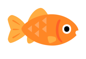 The Biggest Goldfish
