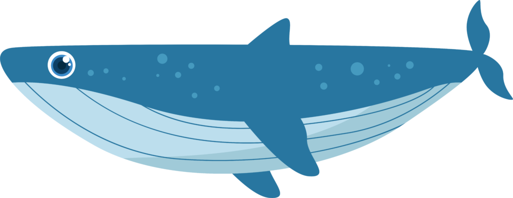 nice whale Comprehensive Whale
